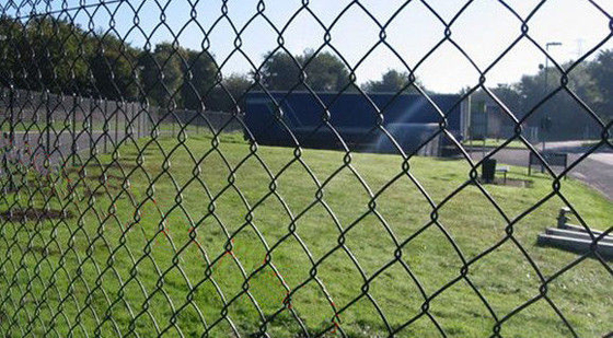commercial galvanized iron wire Mesh pvc coated garden diamond fencing